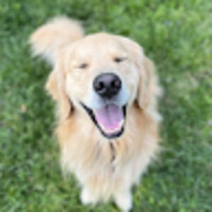 Meet your Posher, Alice